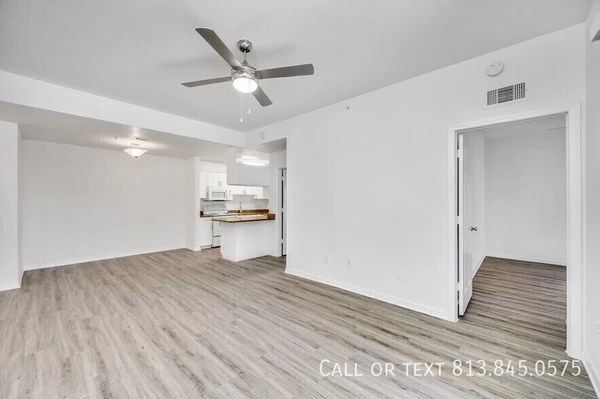 1 bedroom apartment for rent in University - North Tampa, Tampa