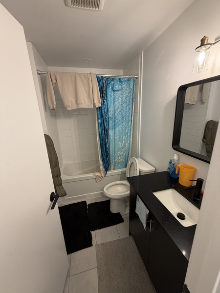 Studio Apartment for rent in Sandy Hill - Central Ottawa, Ottawa