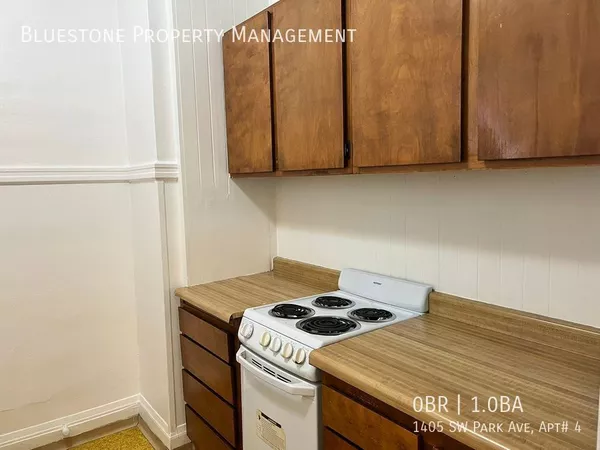 Studio Apartment for rent in Downtown Portland - SW Portland, Portland
