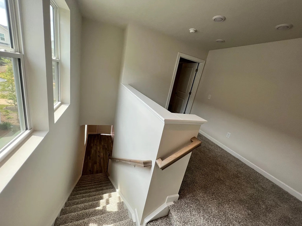 Coliving in Steele Creek - West Charlotte, Charlotte