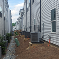 Coliving in Mallard Creek - Withrow Downs - North Charlotte, Charlotte