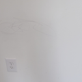 Coliving in Mallard Creek - Withrow Downs - North Charlotte, Charlotte