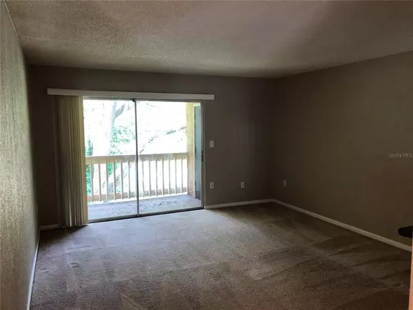 1 bedroom apartment for rent in University Park - UF Area, Gainesville