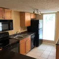 1 bedroom apartment for rent in University Park - UF Area, Gainesville
