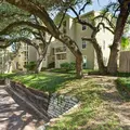 1 bedroom apartment for rent in Hyde Park ATX - Central Austin, Austin