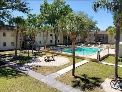 1 bedroom apartment for rent in University Square - North Tampa, Tampa