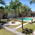 1 bedroom apartment for rent in University Square - North Tampa, Tampa