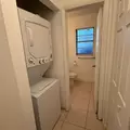 1 bedroom apartment for rent in University Square - North Tampa, Tampa