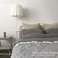 1 bedroom apartment for rent in East Falls - Nw Philadelphia, Philadelphia