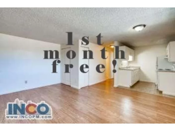 1 bedroom apartment for rent in Ruby Hill - South Denver, Denver