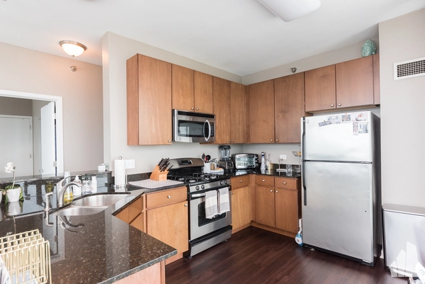 2 bedrooms apartment for rent in River North - Central, Chicago