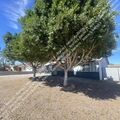 3 bedrooms apartment for rent in Desert View - Phoenix, Phoenix