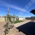 3 bedrooms apartment for rent in Desert View - Phoenix, Phoenix