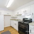 1 bedroom apartment for rent in Berkeley - West Denver, Denver