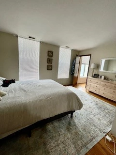 1 bedroom apartment for rent in Boystown - North Side, Chicago