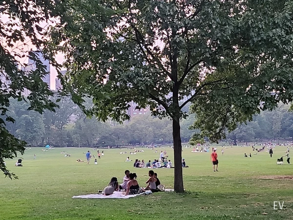 2 bedrooms apartment for rent in Upper West Side - Manhattan, New York