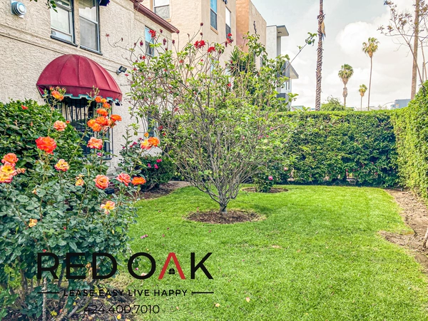 Studio Apartment for rent in Koreatown - Central Los Angeles, Los Angeles