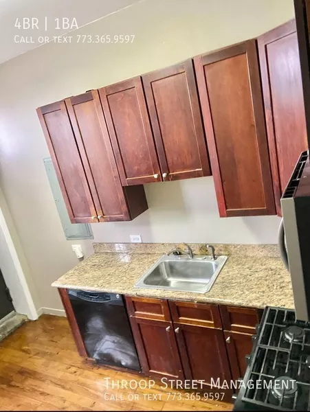 4 bedrooms apartment for rent in Washington Park - South Side, Chicago
