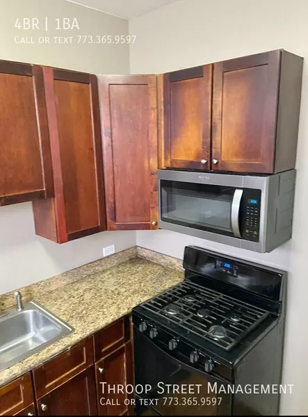 4 bedrooms apartment for rent in Washington Park - South Side, Chicago
