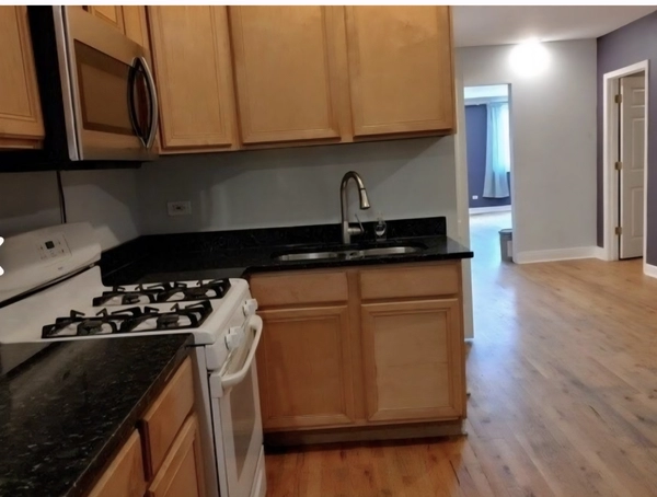 2 bedrooms apartment for rent in West Town - West Side, Chicago