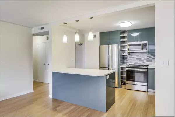 1 bedroom apartment for rent in Edgewater - Far North Side, Chicago