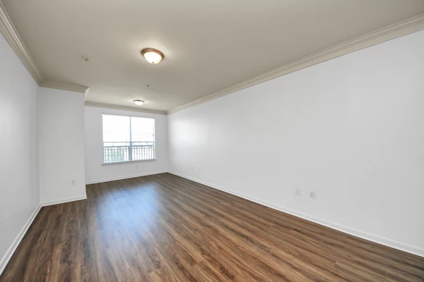1 bedroom apartment for rent in Braeswood Place - Inner Loop, Houston