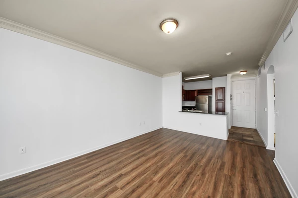 1 bedroom apartment for rent in Braeswood Place - Inner Loop, Houston