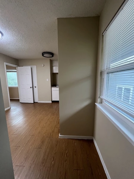 Studio Apartment for rent in Hyde Park ATX - Central Austin, Austin