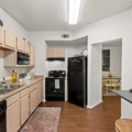 2 bedrooms apartment for rent in North Burnet - North Austin, Austin