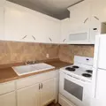 1 bedroom apartment for rent in South Sarasota - Sarasota, Sarasota