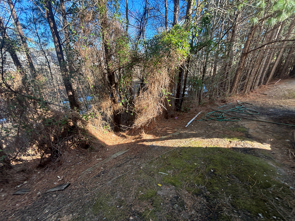 Coliving in Morrisville - Outer Triangle, Raleigh