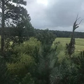 Coliving in Morrisville - Outer Triangle, Raleigh