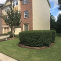Coliving in Morrisville - Outer Triangle, Raleigh