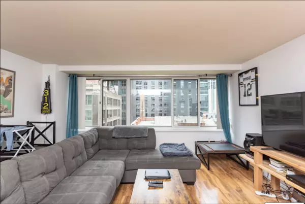 1 bedroom apartment for rent in Streeterville - Central, Chicago