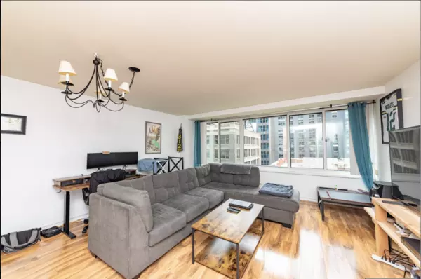1 bedroom apartment for rent in Streeterville - Central, Chicago