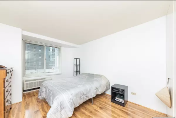1 bedroom apartment for rent in Streeterville - Central, Chicago