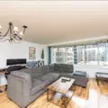 1 bedroom apartment for rent in Streeterville - Central, Chicago
