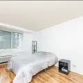 1 bedroom apartment for rent in Streeterville - Central, Chicago