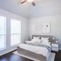 Coliving in Plano - North Dfw, Dallas