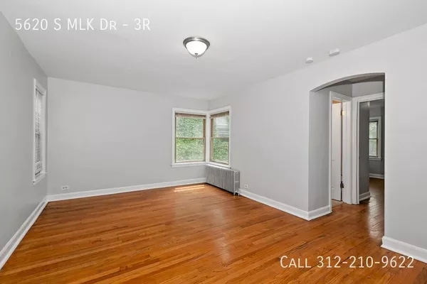1 bedroom apartment for rent in Woodlawn - South Side, Chicago