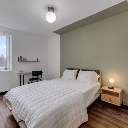 Coliving in Williamsburg - Brooklyn, New York