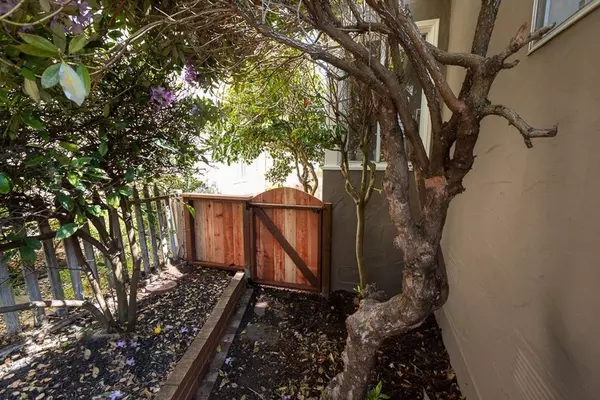 3 bedrooms apartment for rent in Albany - East Bay, San Francisco