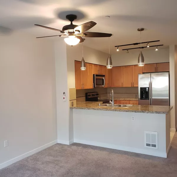 1 bedroom apartment for rent in Ballard - North Seattle, Seattle