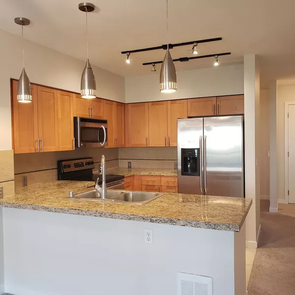 1 bedroom apartment for rent in Ballard - North Seattle, Seattle