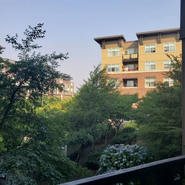 1 bedroom apartment for rent in Ballard - North Seattle, Seattle