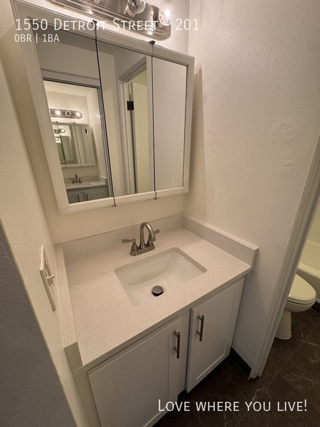 Studio Apartment for rent in City Park - Center Denver, Denver