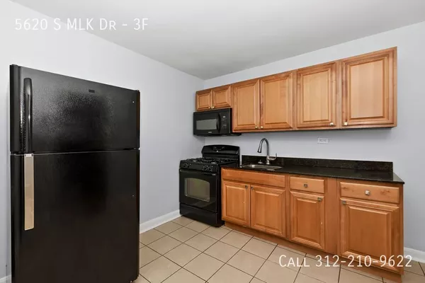 1 bedroom apartment for rent in Woodlawn - South Side, Chicago
