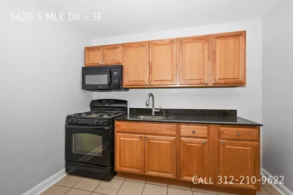 1 bedroom apartment for rent in Woodlawn - South Side, Chicago