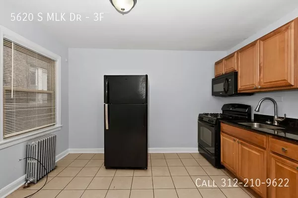 1 bedroom apartment for rent in Woodlawn - South Side, Chicago