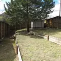 3 bedrooms apartment for rent in Eastwood - Ne Dallas, Dallas